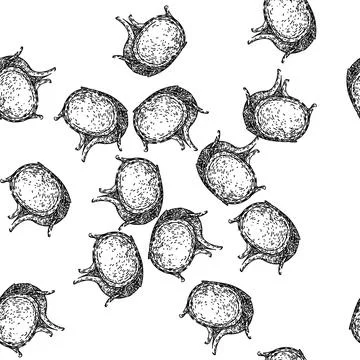 Seamless pattern vegetable kohlrabi green sketch hand drawn Illustrazione stock