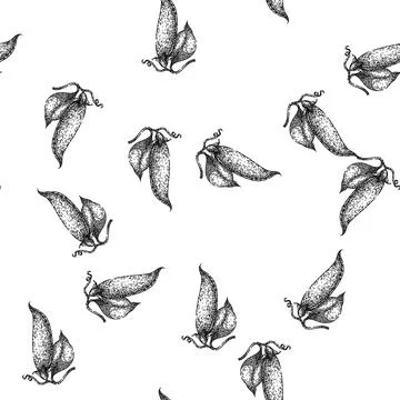 Seamless pattern vegetable pea sketch hand drawn Stock Illustration