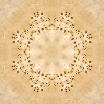 Seamless pattern, veneer poplar root Stock Illustration