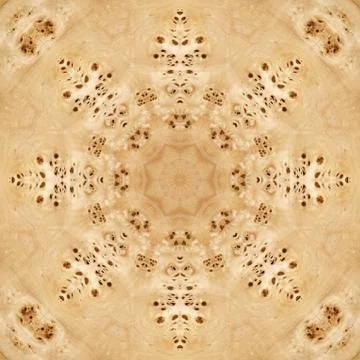 Seamless pattern, veneer poplar root Stock Illustration