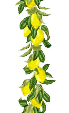 Seamless pattern vertical line in vector graphic with  branches with fruits a Stock Illustration