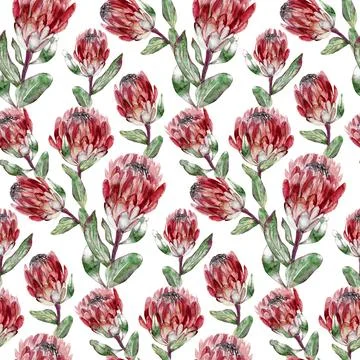 Seamless pattern with vertical protea flowers painted in watercolor on a beige Stock Illustration