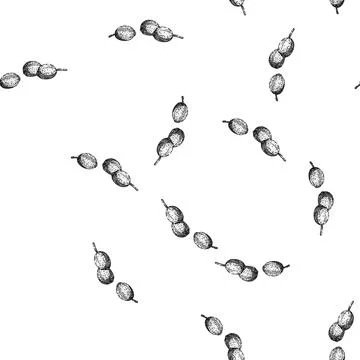 Seamless pattern view coriander sketch hand drawn Stock Illustration
