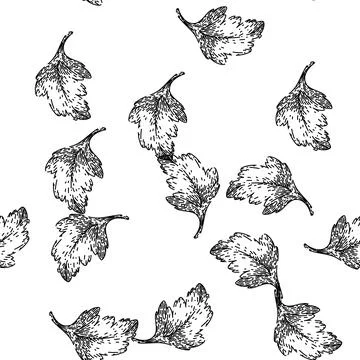 Seamless pattern view parsley sketch hand drawn Stock Illustration