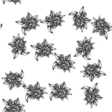 Seamless pattern vine clematis sketch hand drawn Stock Illustration