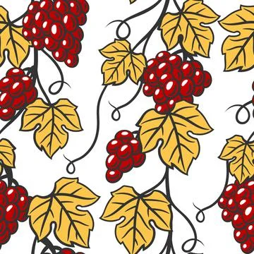 Seamless pattern of vine with leaves and bunches of grapes. Winery image for Illustrazione stock