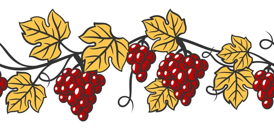 Seamless pattern of vine with leaves and bunches of grapes. Winery image for Stock Illustration