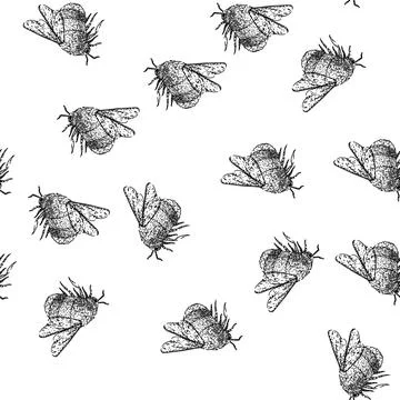 Seamless pattern vintage bee sketch hand drawn イラスト素材