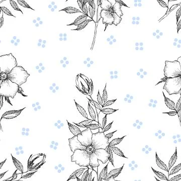 Seamless pattern. Vintage botanical illustration flower. Flower concept Stock Illustration