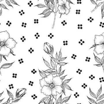 Seamless pattern. Vintage botanical illustration flower. Flower concept Illustrazione stock