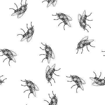 Seamless pattern vintage fly sketch hand drawn イラスト素材