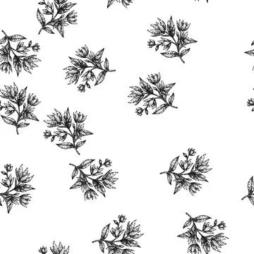 Seamless pattern vintage jasmine sketch hand drawn Illustrazione stock
