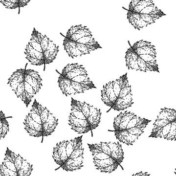 Seamless pattern vintage nettle sketch hand drawn Stock Illustration