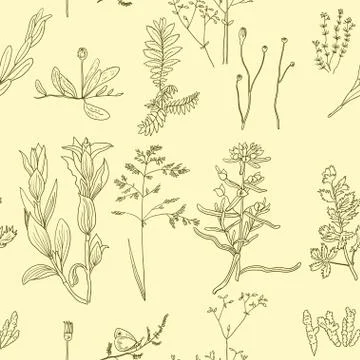 Seamless pattern with vintage original line art realistic forest plants. Stock Illustration