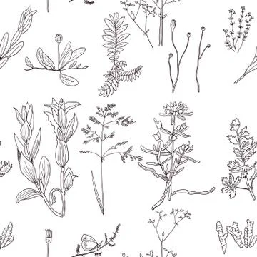 Seamless pattern with vintage original line art realistic forest plants. Illustrazione stock