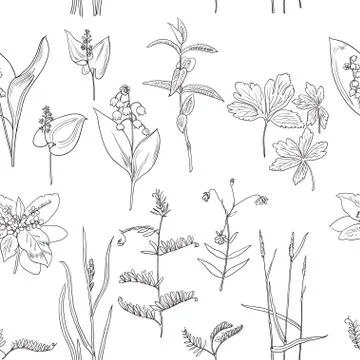 Seamless pattern with vintage original line art realistic forest plants. 스톡 일러스트