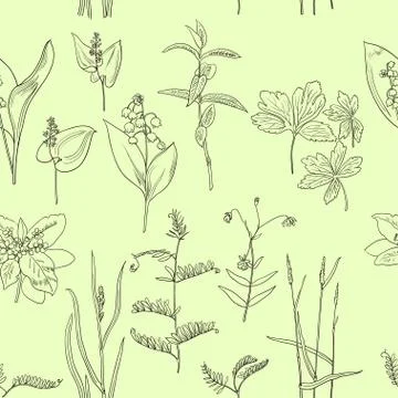 Seamless pattern with vintage original line art realistic forest plants. Stock Illustration