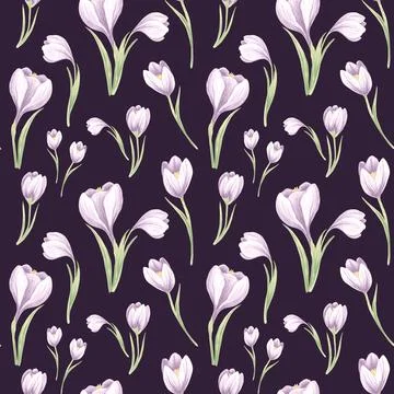 Seamless pattern from violet crocuses with green leaves on a dark background Stock Illustration