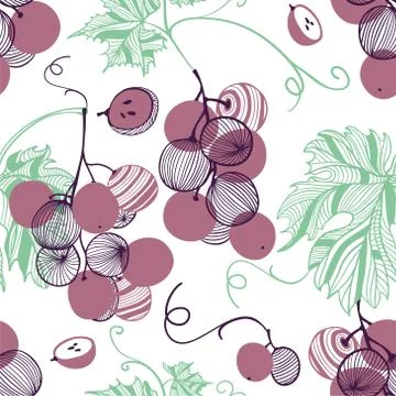 Seamless pattern of violet grapes. Bunch and vine. Vector hand drawn Stock Illustration
