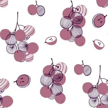 Seamless pattern of violet grapes. Bunch and vine. Vector hand drawn Stock Illustration