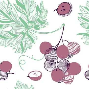 Seamless pattern of violet grapes. Bunch and vine. Vector hand drawn illustra Stock Illustration