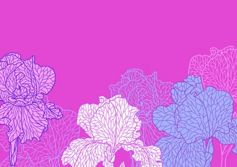 Seamless pattern with violet irises. Stock Illustration