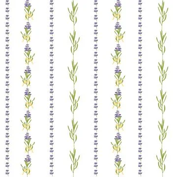 Seamless pattern with violet Lavender beautiful flower Stock Illustration