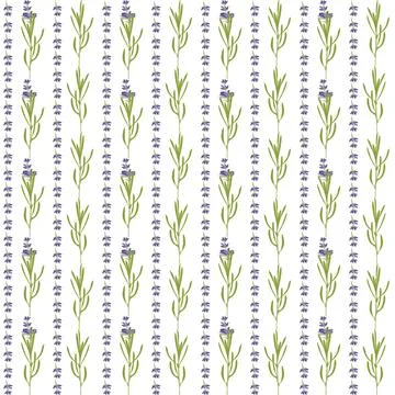 Seamless pattern with violet Lavender beautiful flower Stock Illustration