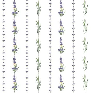 Seamless pattern with violet Lavender beautiful flower Stock Illustration
