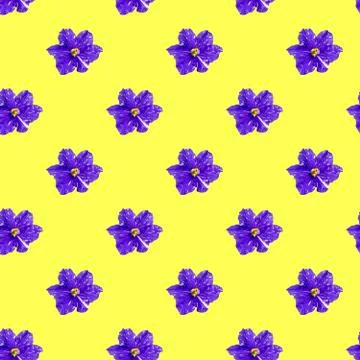 Seamless pattern with violet violets on a yellow background. Minimal isometri 스톡 사진