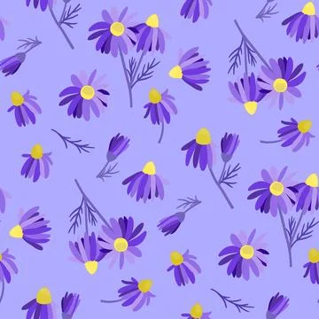 Seamless pattern w violet chamomile Purple daisies Stock Illustration