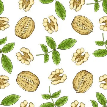 Seamless pattern with walnut and leaves. Stock Illustration