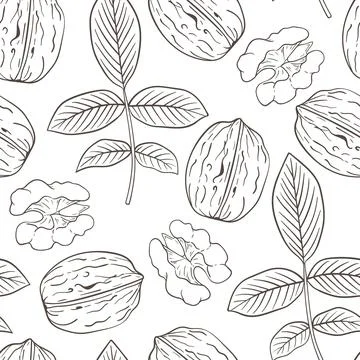 Seamless pattern with walnut. Stock Illustration