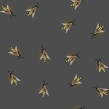 Seamless pattern Wasp flying insect with black and yellow stripes Stock Illustration