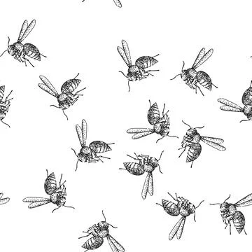 Seamless pattern Wasp illustration in sketch engraving style Stock Illustration