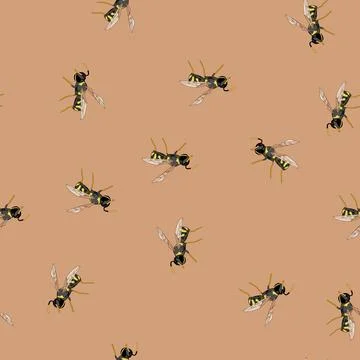 Seamless pattern Wasp insect flying with black and yellow stripes Stock Illustration