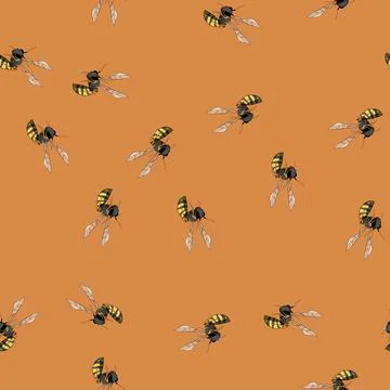Seamless pattern Wasp insect flying or hovering in air イラスト素材