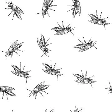 Seamless pattern Wasp insect hand drawn detailed line art sketch Illustrazione stock