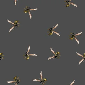 Seamless pattern Wasp species flying with striped body Illustrazione stock