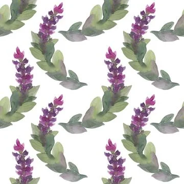 Seamless pattern watercolor abstract branch with flower lilac or lavender and Stock Illustration