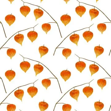 Seamless pattern with watercolor autumn physalis lanterns Stock Illustration