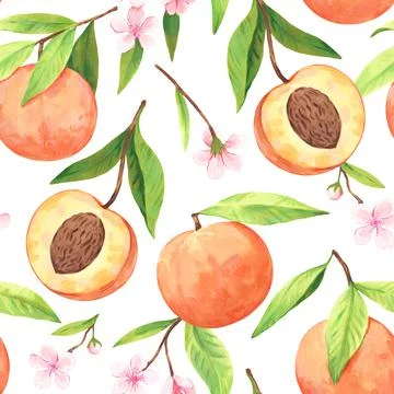 Seamless pattern with watercolor blooming peach branches with flowers and ripe Stock Illustration