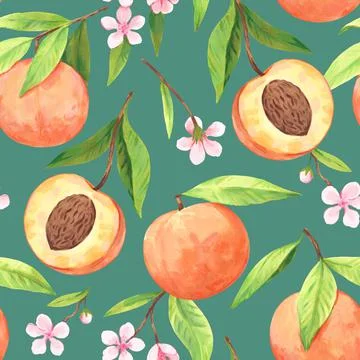 Seamless pattern with watercolor blooming peach branches with flowers and ripe Illustrazione stock