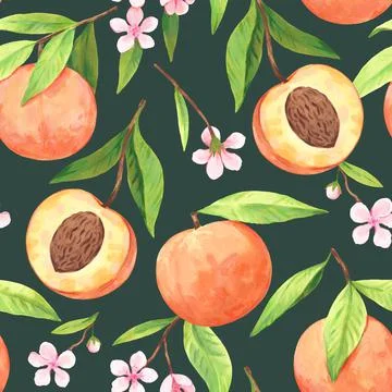 Seamless pattern with watercolor blooming peach branches with flowers and ripe Illustrazione stock