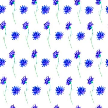 Seamless pattern of watercolor blue cornflowers. Botanical cute flower print Stock Illustration