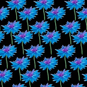 Seamless pattern of watercolor blue cornflowers. Botanical cute flower print Stock Illustration