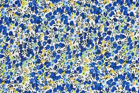 Seamless pattern watercolor blueberries. Stylish print for textile design and de Stock Footage 287189558