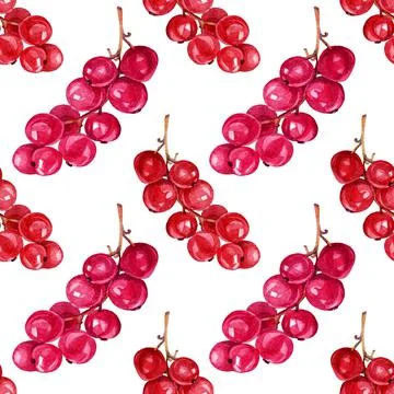 Seamless pattern watercolor branch with red autumn berries on white. Grapes Stock Illustration