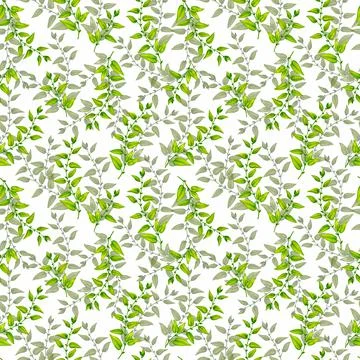 Seamless pattern. Watercolor branches with green foliage. Stock Illustration