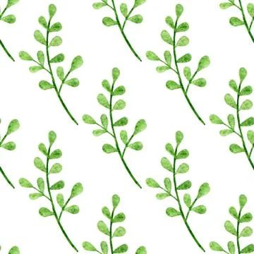 Seamless pattern with watercolor branches on a white background Stock Illustration